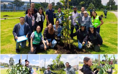 Historias del verde urbano: El vecino del humedal Capellanía recibió 26 árboles y arbustos