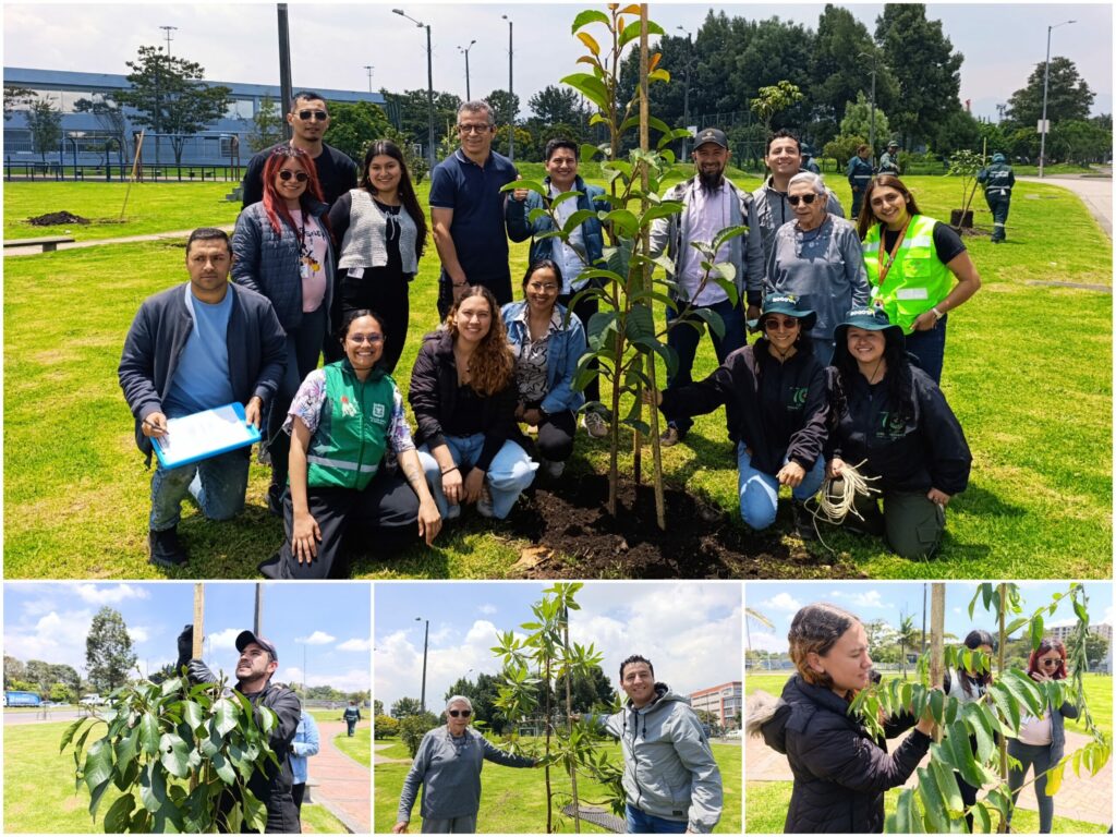 Historias del verde urbano: El vecino del humedal Capellanía recibió 26 árboles y arbustos