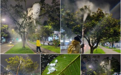 Historias del verde urbano: Crónica de una aspersión foliar nocturna en la avenida 19