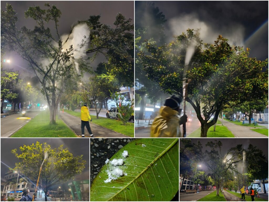 Historias del verde urbano: Crónica de una aspersión foliar nocturna en la avenida 19