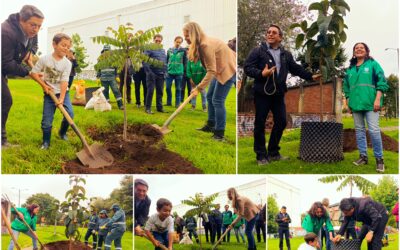 Historias del verde urbano: ¡La Cofradía tejió un nuevo verde!