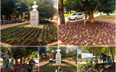 Historias del verde urbano: El nuevo lienzo floral del parque Guernika