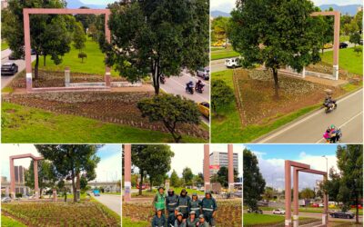“El trazado es un tipo de bordado: con las estacas y la piola les vamos dando forma a las líneas y curvas donde van a ir las plantas. Maira, que tiene un ojo clínico para trazar, siempre es mi mano derecha en esta actividad”. Hacia las dos de la tarde, la mitad del primer sector de la jardinera quedó plantado con miles de manos de Dios, clavellinas y botones de oro. El equipo se fue a descansar con la tranquilidad de haber alcanzado estos resultados. “Pensé que solo íbamos a poder hacer el trazado. Pero nos rindió bastante y además mis compañeros lograron descargar gran parte del material vegetal; creo que ese día hicieron como ocho viajes en la camioneta”, apuntó Maira. El martes 21 de abril, los operarios y su líder volvieron a madrugar para continuar con su misión jardinera. Durante toda la mañana dejaron totalmente plantada la primera área, donde hay un roble de porte alto, y en la tarde inició el trazado del segundo sector. “Fue una jornada bastante productiva: 135 metros cuadrados reverdecidos con miles de plantas de las seis especies y los otros 135 ya trazados. Con estos resultados sabíamos que el proyecto lo íbamos a terminar el día miércoles”, precisó Sergio. El tercer día de trabajo, que coincidió con la celebración del Día de la Tierra, contó con la participación del IDPC y la Alcaldía Local de Fontibón. Varios funcionarios ayudaron a plantar algunas zonas del jardín oriental, donde también hay un roble adulto. “Los trabajadores del Centro Empresarial Dorado Plaza no pudieron asistir por temas logísticos. Sin embargo, nos dijeron que iban a estar muy pendientes del estado de la nueva jardinera”, aseguró Alejandra Núñez, profesional del equipo social. A las tres de la tarde, los alrededores de la “Ventana a Bogotá” se convirtieron en un nuevo jardín de 270 metros cuadrados donde resaltan los diferentes tonos de las 3.400 plantas de seis especies. “Es uno de los proyectos más bellos que hemos hecho con mi cuadrilla, operarios que le ponen todo el esfuerzo, dedicación y amor a los jardines que tenemos a cargo. Desde un puente peatonal se puede apreciar la hermosura de la cobertura vegetal que decora el monumento”. Intiwatana, monumento creado por el artista Fernando de Zsyzslo ubicado en el separador de la carrera 78, será el próximo reto jardinero de este equipo. Los antiguos tíbares serán reemplazados por especies coloridas y de porte bajo. “Tenemos proyectado intervenir el jardín de esta escultura durante el mes de mayo. También será un trabajo duro porque debemos retirar todos los arbustos y empezar a crear una nueva jardinera desde cero”, puntualizó el ingeniero.