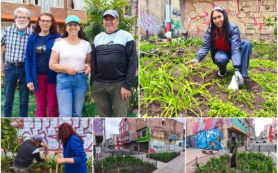 Historias del verde urbano: Las madrinas y padrinos de las nuevas jardineras de la avenida Mutis