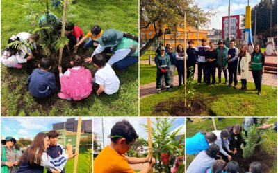 Historias del verde urbano: Los ‘escuderitos’ del arbolado de Santa María del Lago