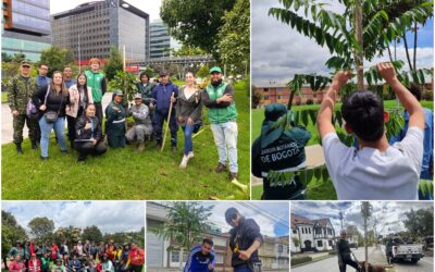Historias del verde urbano: El festejo verde que le regaló a Bogotá más de 300 árboles y arbustos