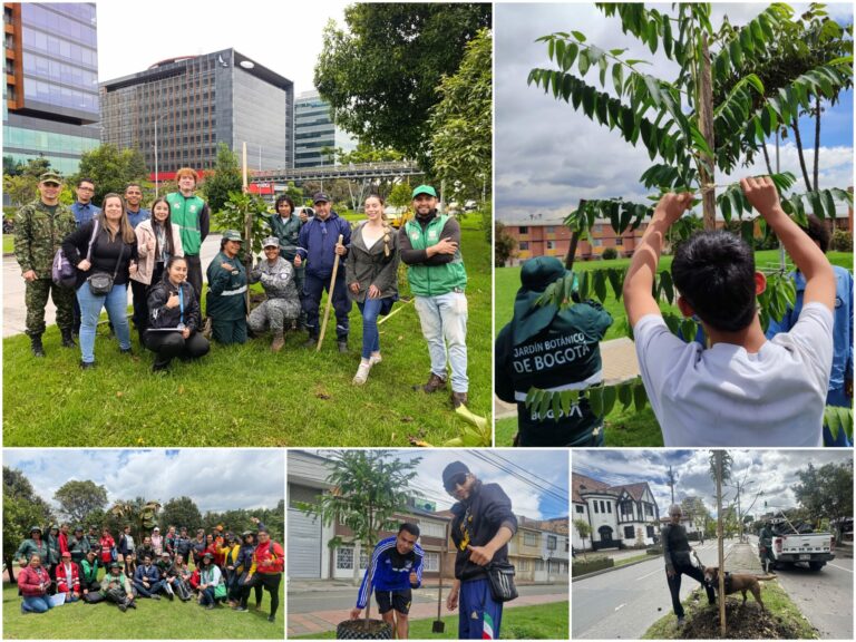 Historias del verde urbano: El festejo verde que le regaló a Bogotá más de 300 árboles y arbustos