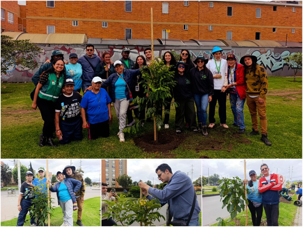 Historias del verde urbano: ¡El verde renace en Hayuelos!