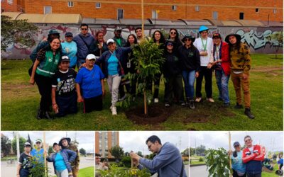 Historias del verde urbano: ¡El verde renace en Hayuelos!