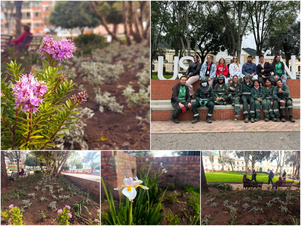 Historias del verde urbano: La renovación floral del corazón histórico de Usaquén