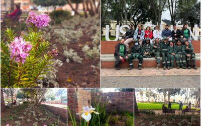 Historias del verde urbano: La renovación floral del corazón histórico de Usaquén