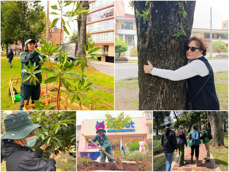 Historias del verde urbano: ¡Acciones de renaturalización en un ícono biodiverso de Teusaquillo!