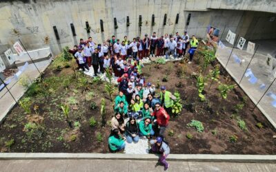 Tejiendo territorios: Día de la tierra. Una fecha para cuidar la vida y aprender sobre la naturaleza.