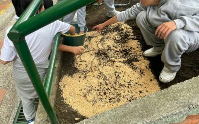 Tejiendo el Territorio desde el corazón de La Candelaria: El despertar de los polinizadores en Egipto y Belén