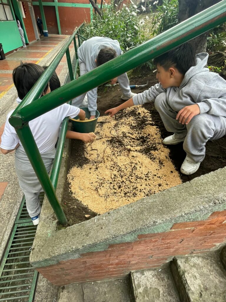 Tejiendo el Territorio desde el corazón de La Candelaria: El despertar de los polinizadores en Egipto y Belén