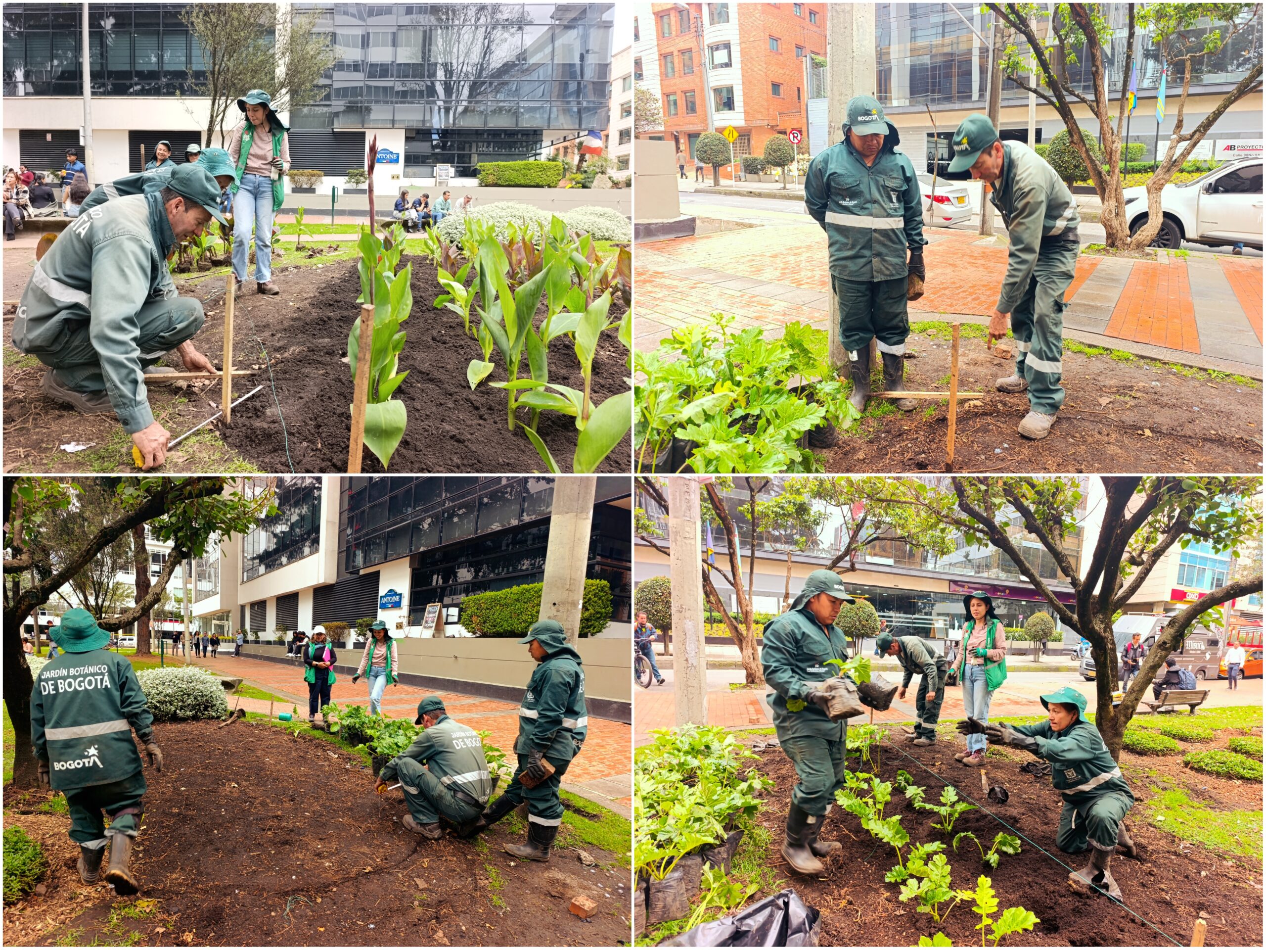Historias del verde urbano: ¡Transformación jardinera en Chicó Reservado!