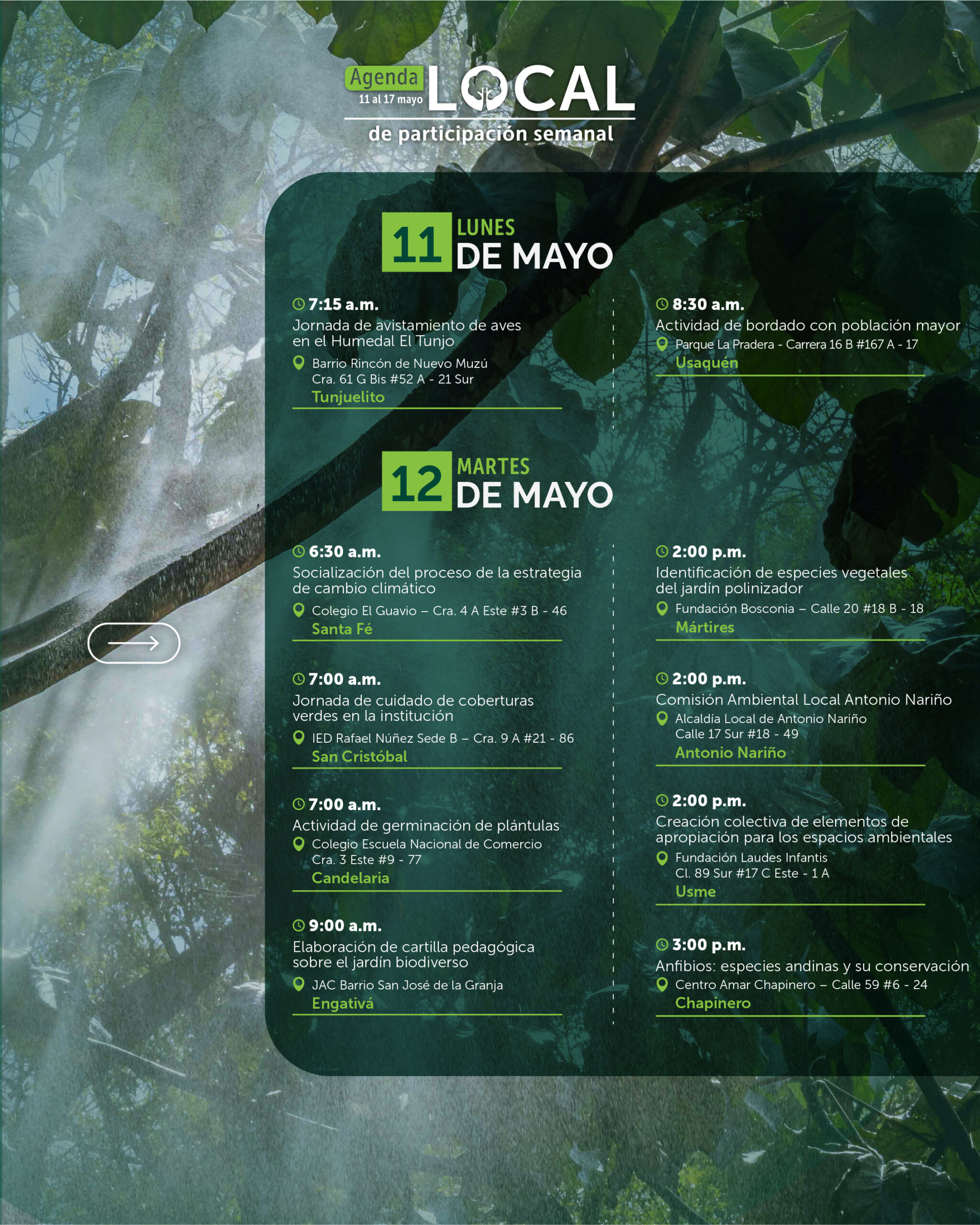 11 al 17 de mayo-02