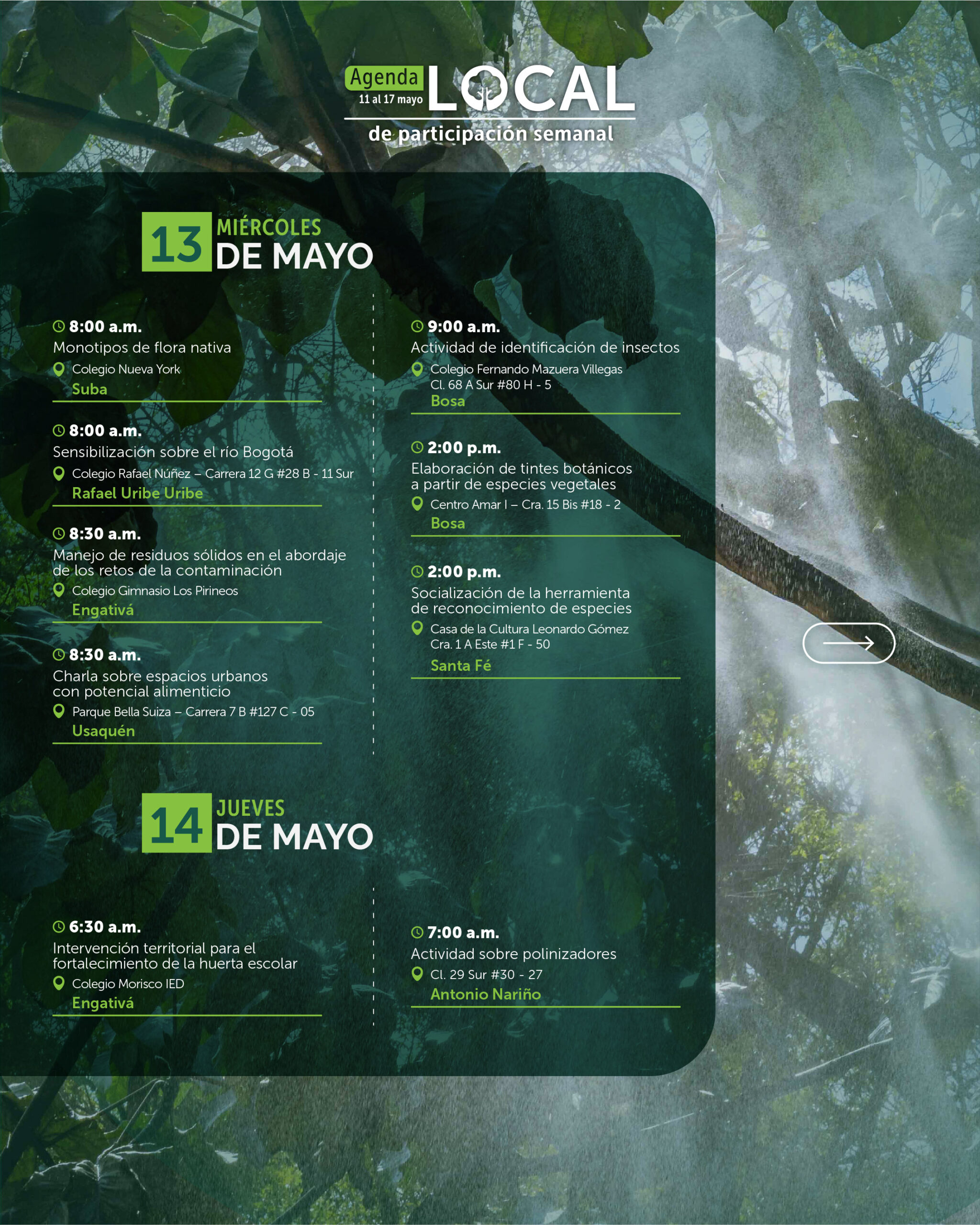 11 al 17 de mayo-03