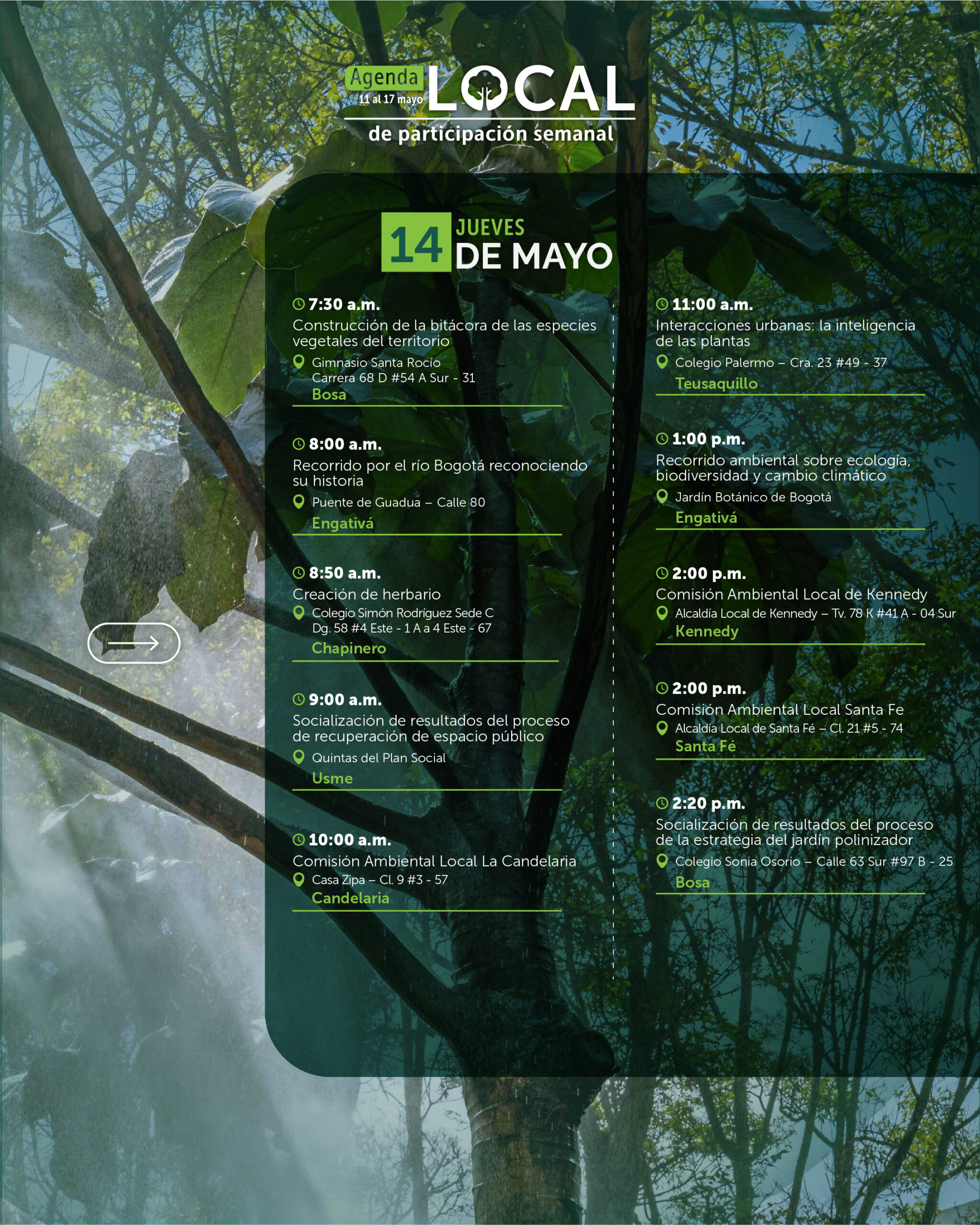 11 al 17 de mayo-04