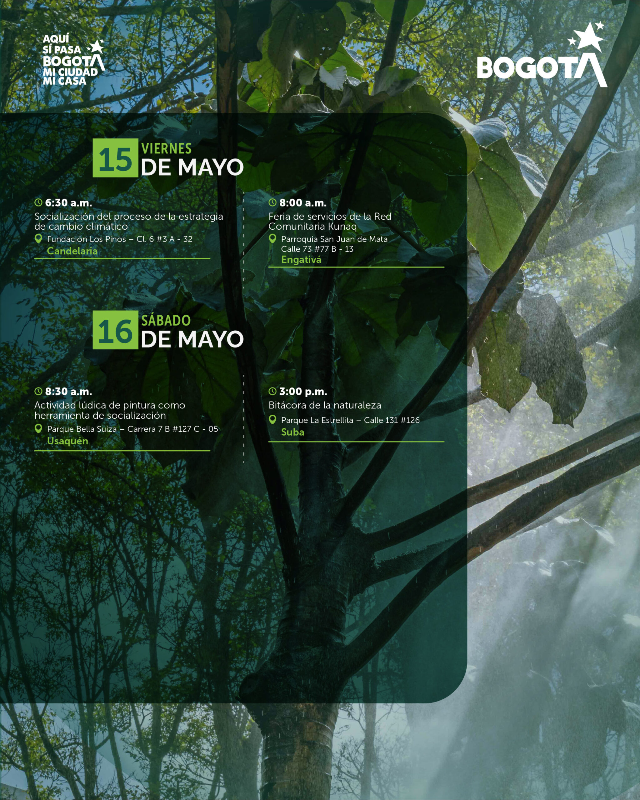 11 al 17 de mayo-05
