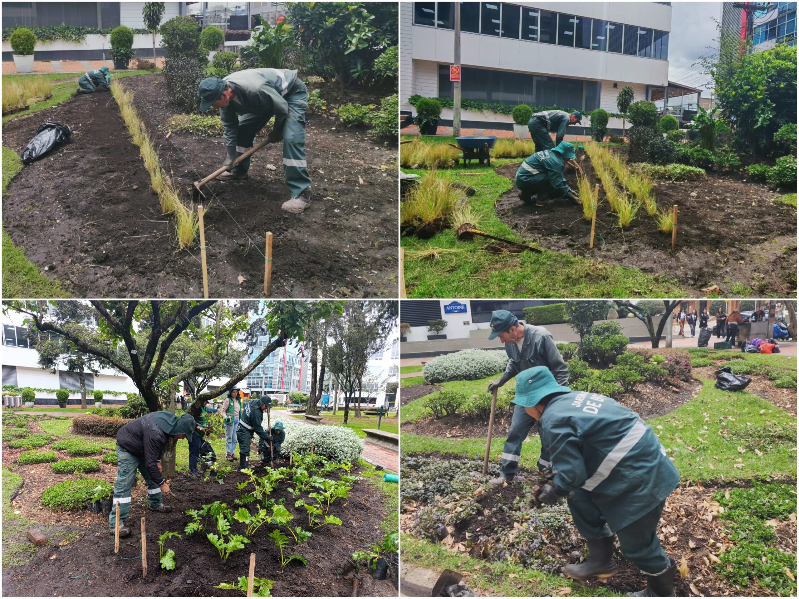 Historias del verde urbano: ¡Transformación jardinera en Chicó Reservado!