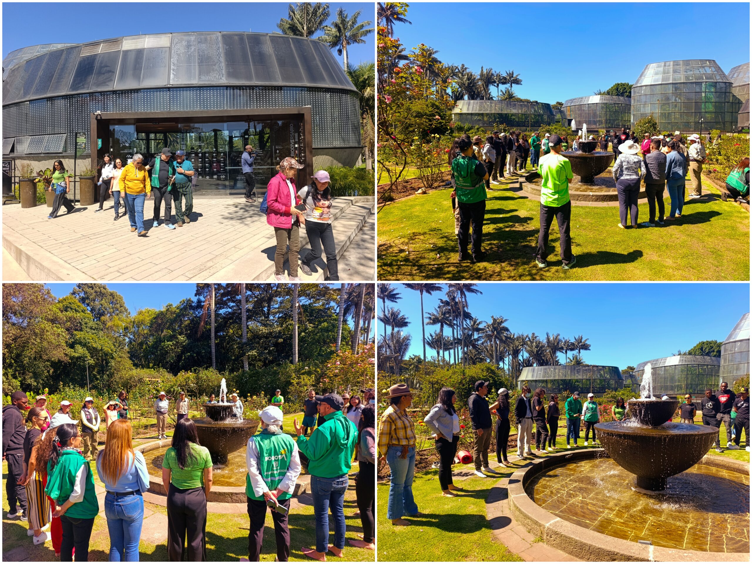 Historias del verde urbano: Tejiendo comunidad: un encuentro de cuidado con los guardianes de los bosques urbanos Historias del verde urbano: Tejiendo comunidad: un encuentro de cuidado con los guardianes de los bosques urbanos