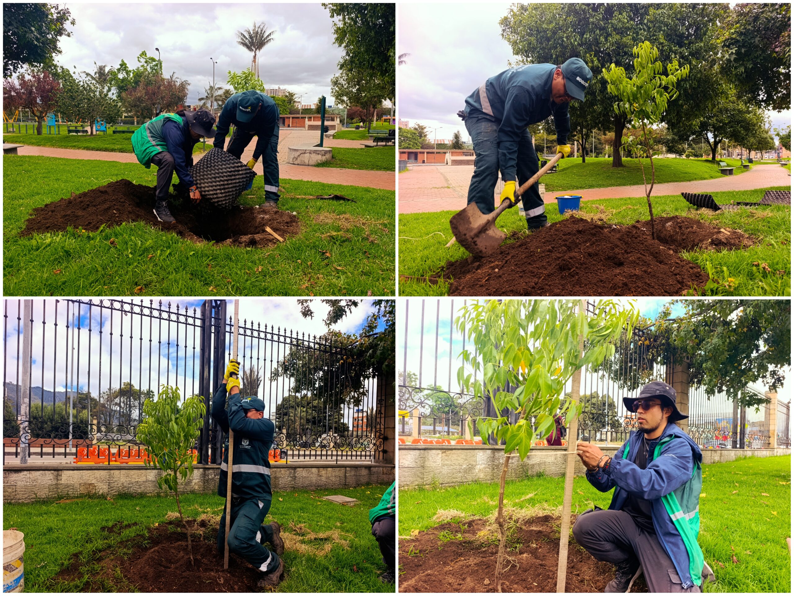 Historias del verde urbano: ¡El verde brilla con más intensidad en El Renacimiento!