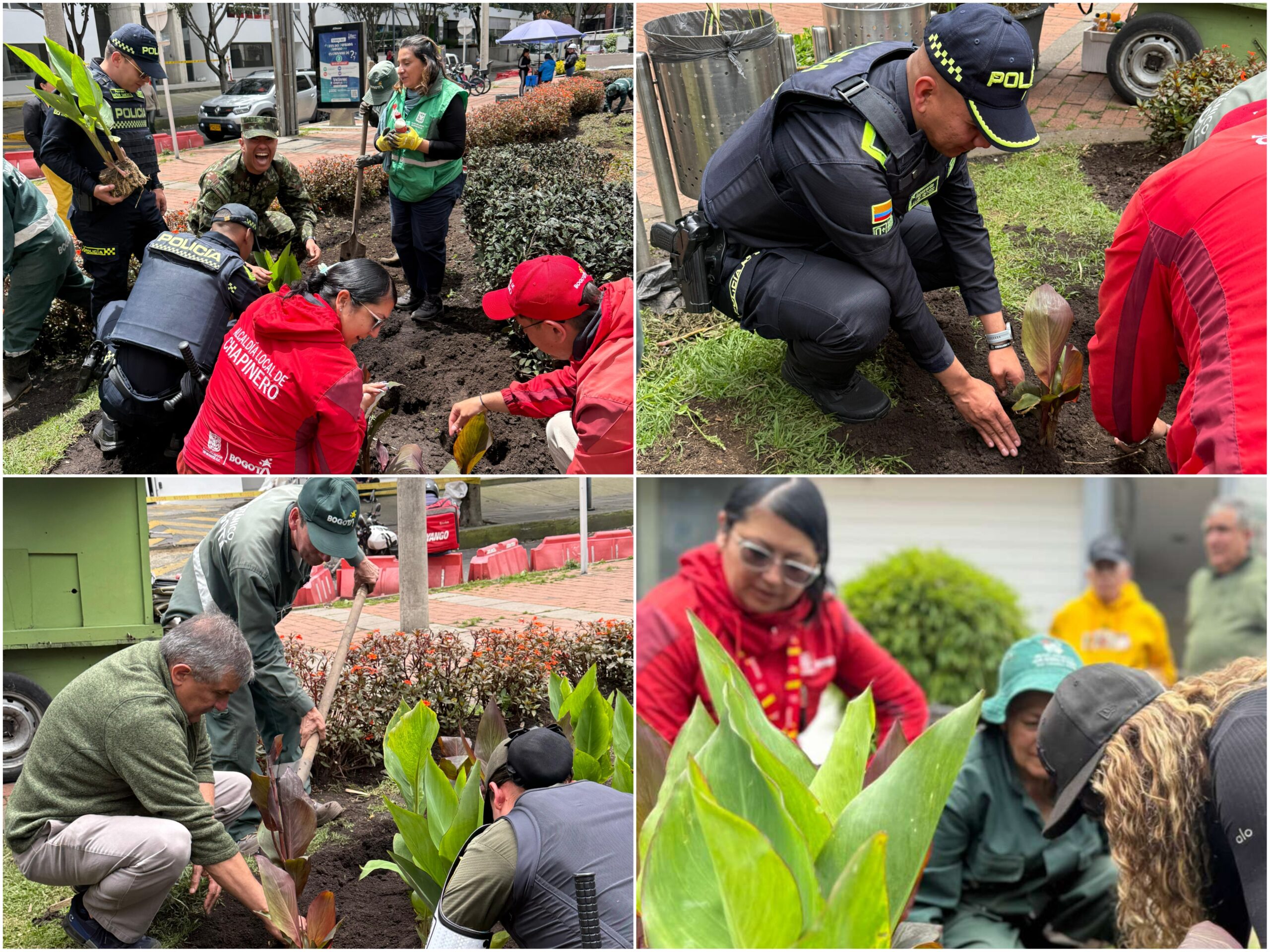 Historias del verde urbano: ¡Transformación jardinera en Chicó Reservado!