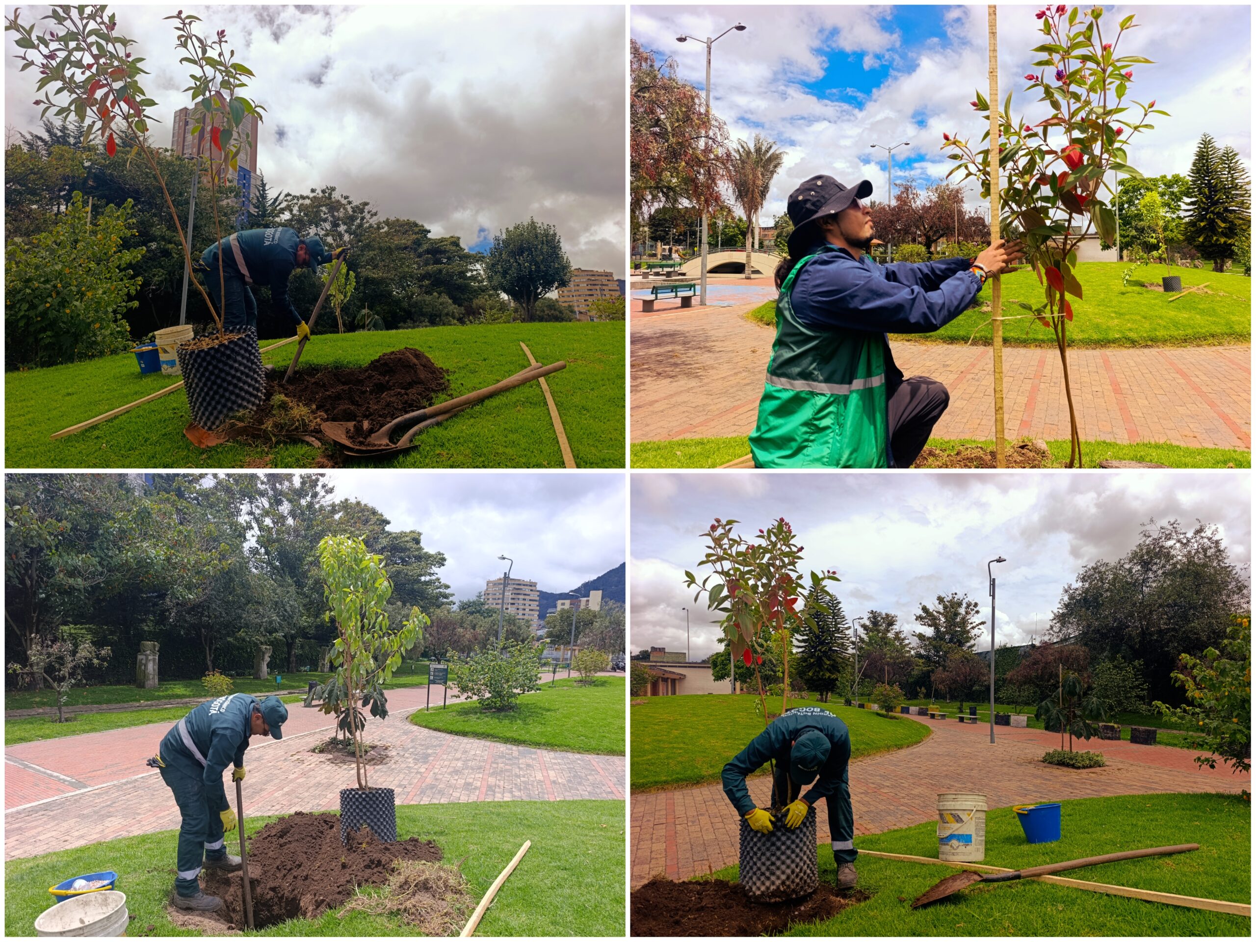 Historias del verde urbano: ¡El verde brilla con más intensidad en El Renacimiento!