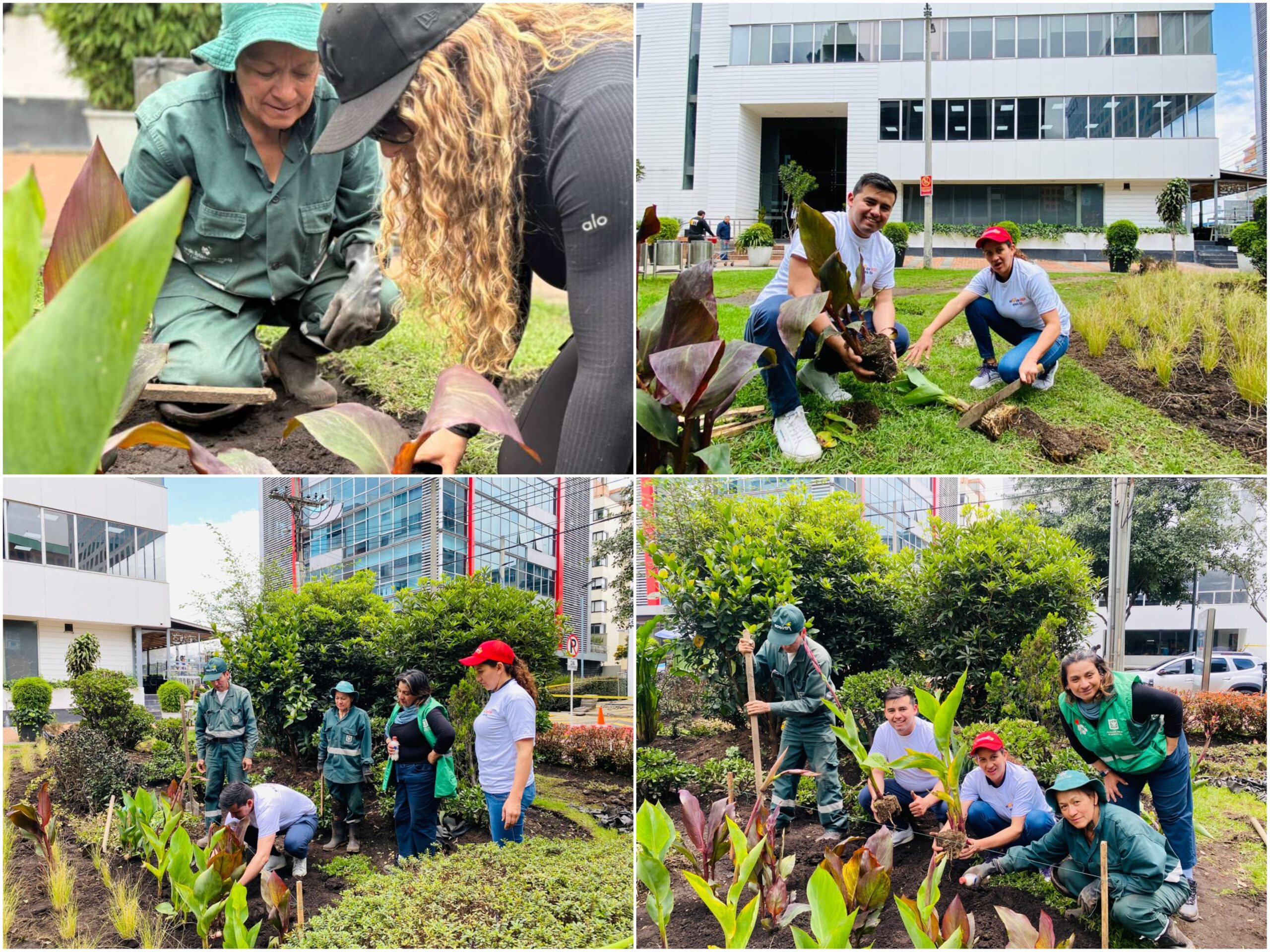 Historias del verde urbano: ¡Transformación jardinera en Chicó Reservado!