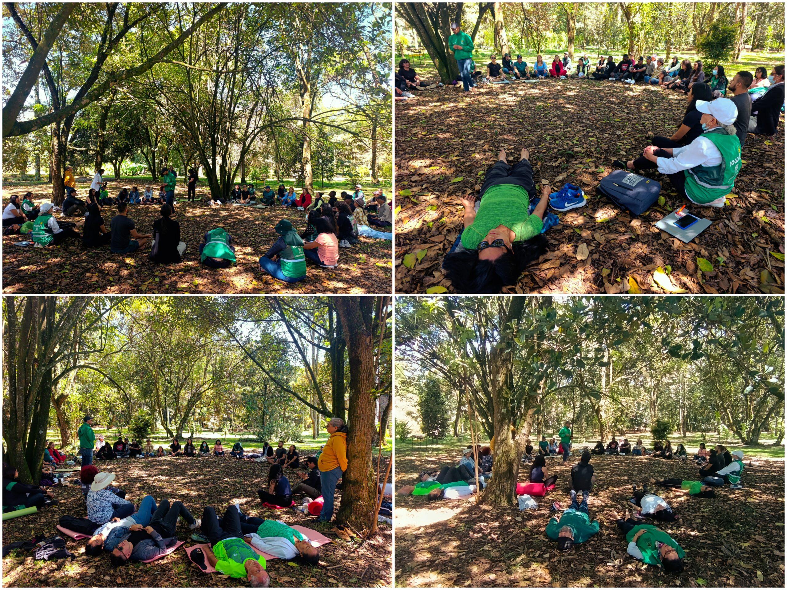 Historias del verde urbano: Tejiendo comunidad: un encuentro de cuidado con los guardianes de los bosques urbanos Historias del verde urbano: Tejiendo comunidad: un encuentro de cuidado con los guardianes de los bosques urbanos