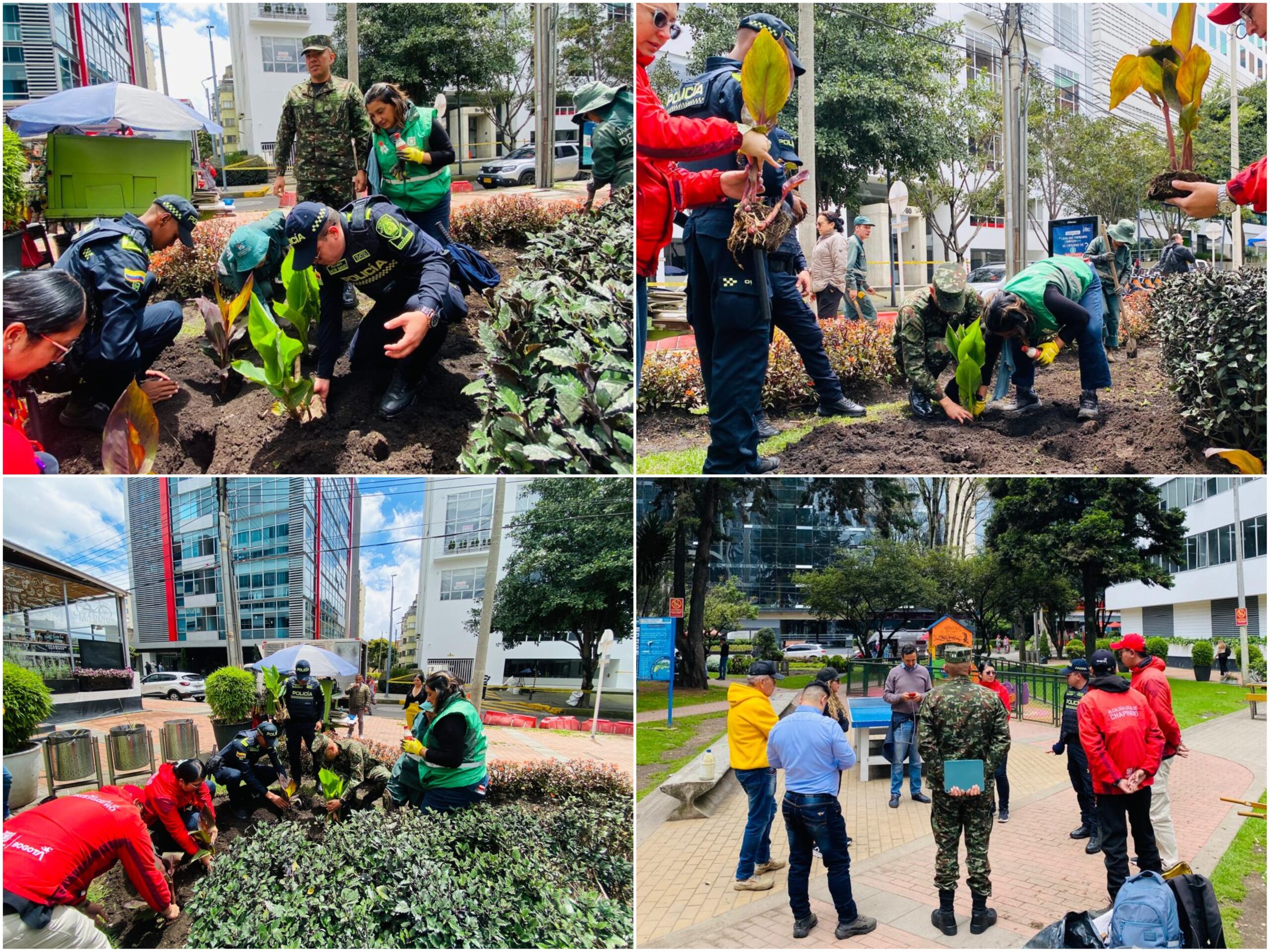 Historias del verde urbano: ¡Transformación jardinera en Chicó Reservado!