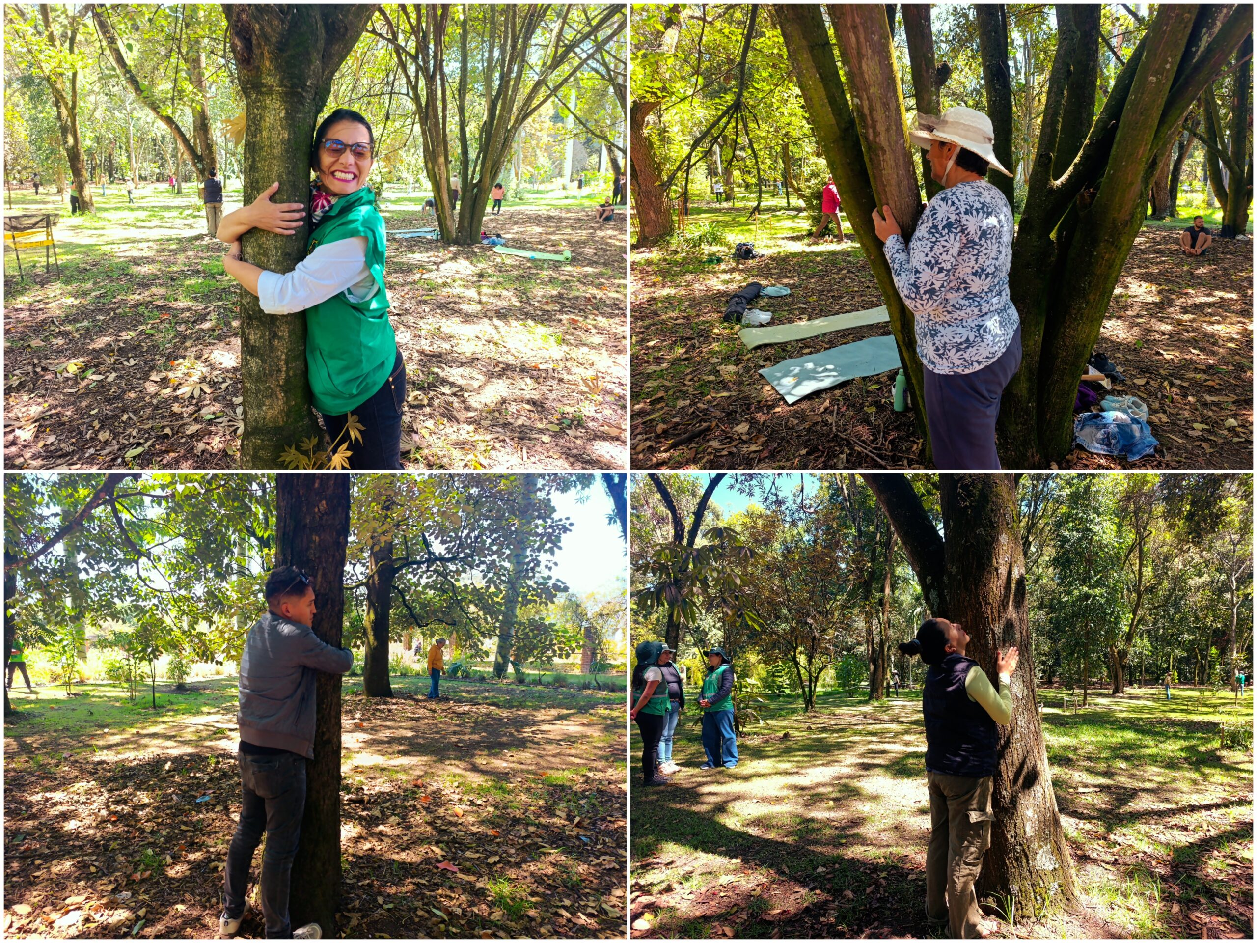 Historias del verde urbano: Tejiendo comunidad: un encuentro de cuidado con los guardianes de los bosques urbanos Historias del verde urbano: Tejiendo comunidad: un encuentro de cuidado con los guardianes de los bosques urbanos