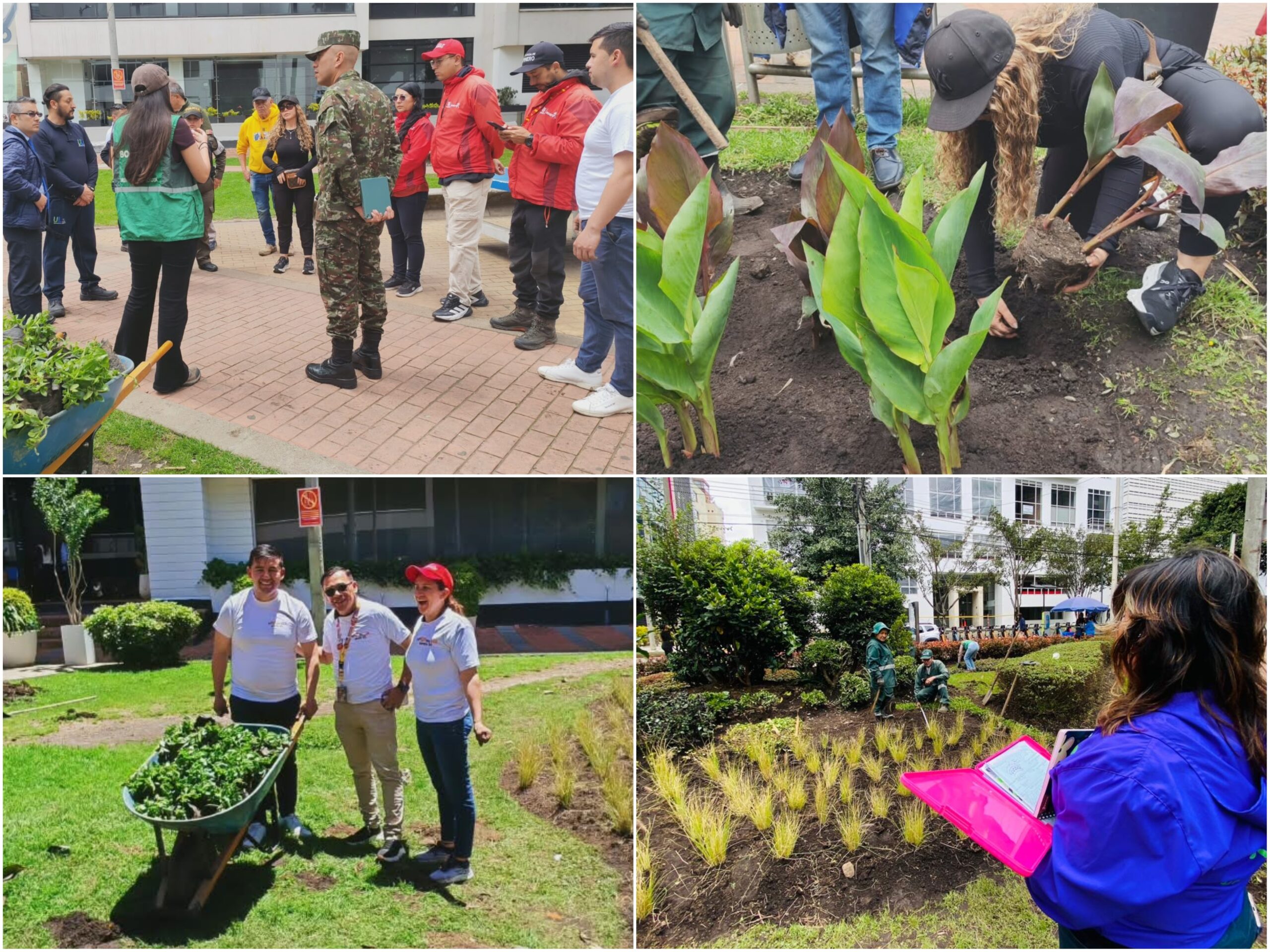 Historias del verde urbano: ¡Transformación jardinera en Chicó Reservado!