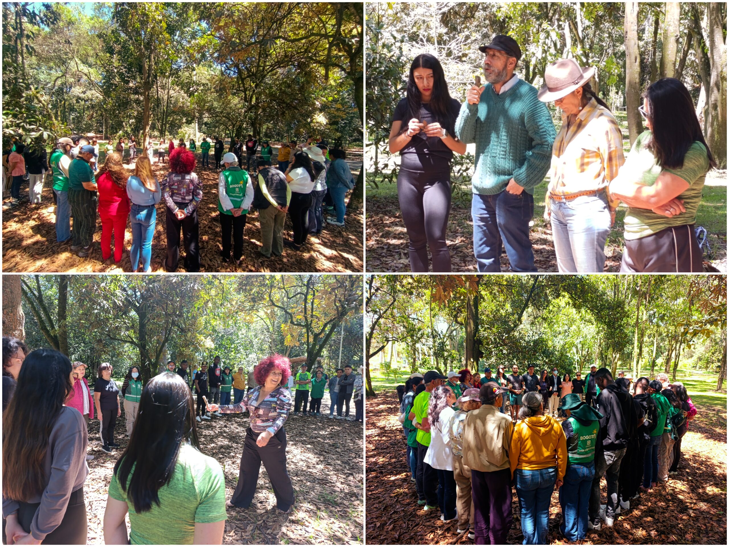 Historias del verde urbano: Tejiendo comunidad: un encuentro de cuidado con los guardianes de los bosques urbanos Historias del verde urbano: Tejiendo comunidad: un encuentro de cuidado con los guardianes de los bosques urbanos