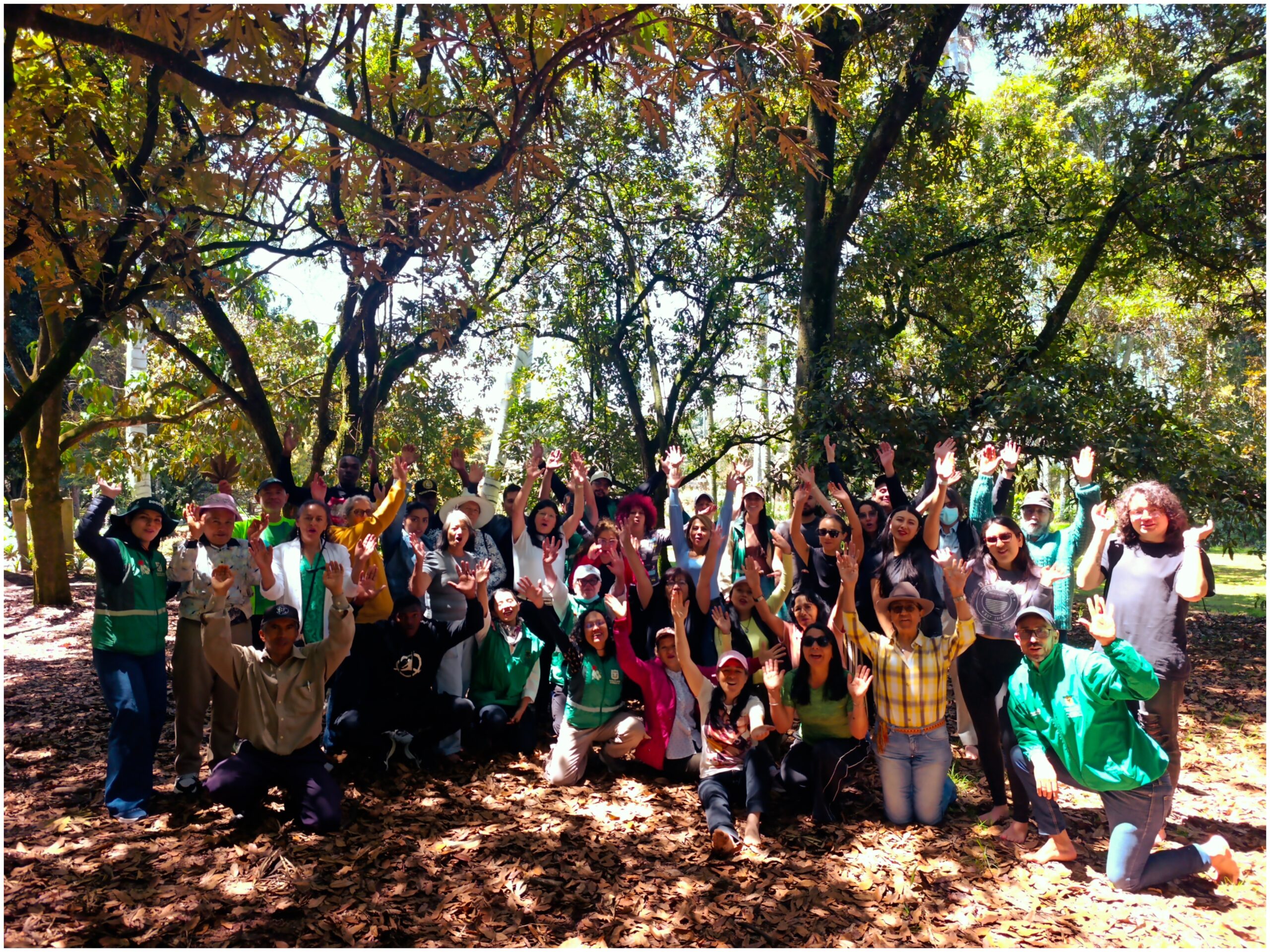 Historias del verde urbano: Tejiendo comunidad: un encuentro de cuidado con los guardianes de los bosques urbanos Historias del verde urbano: Tejiendo comunidad: un encuentro de cuidado con los guardianes de los bosques urbanos