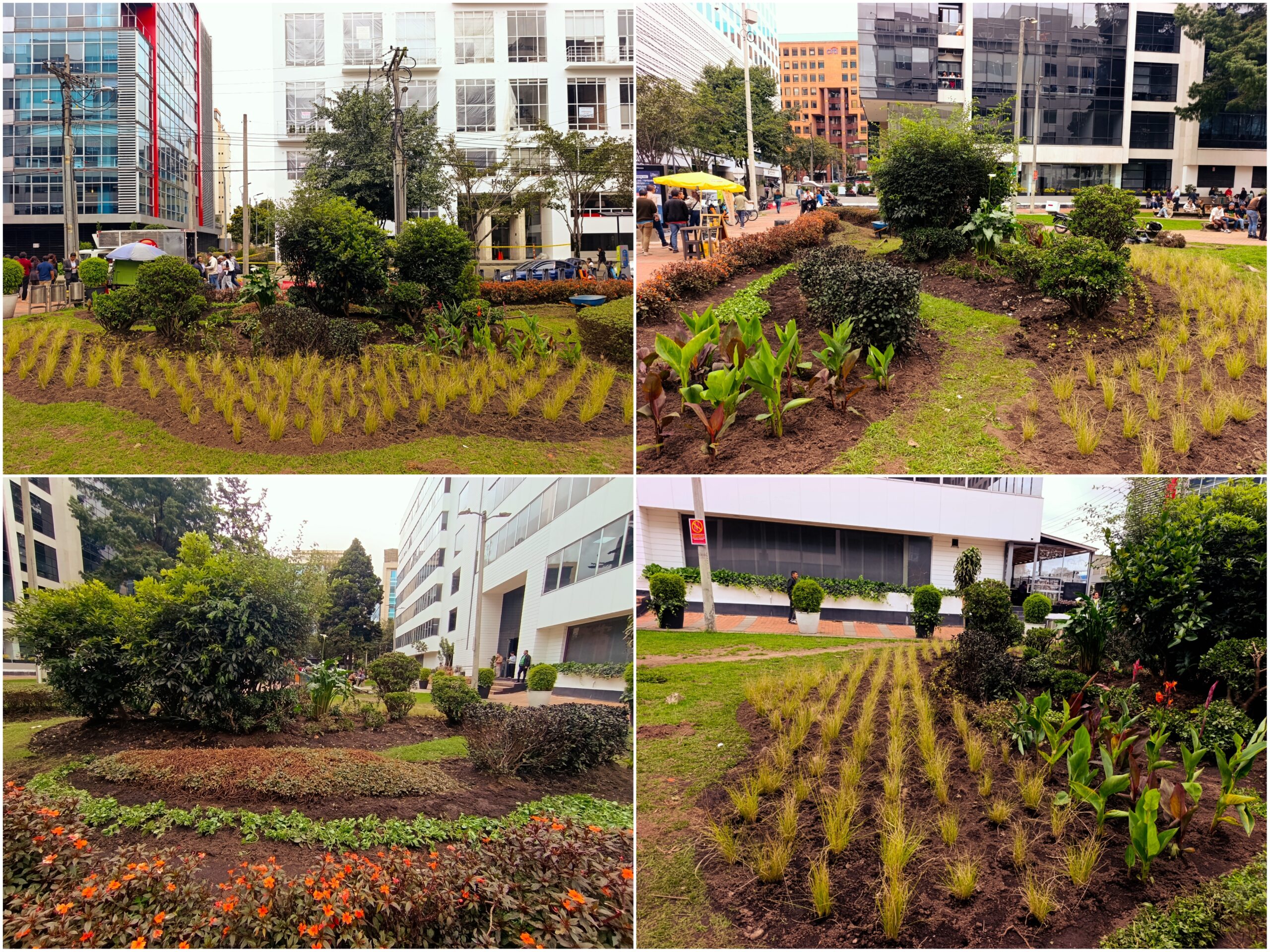 Historias del verde urbano: ¡Transformación jardinera en Chicó Reservado!
