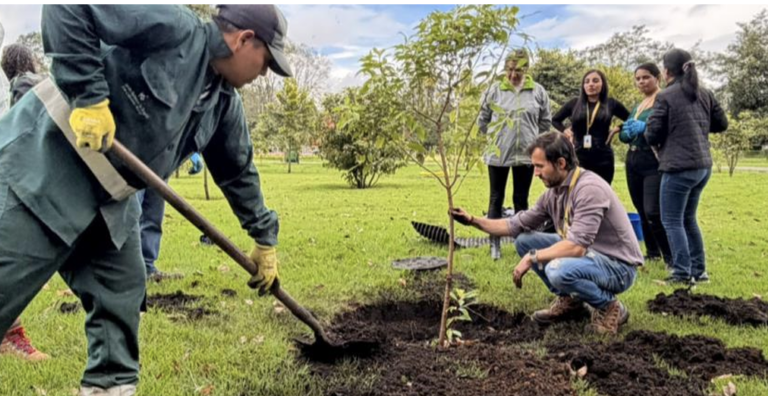 En el Día del Árbol: más de 300 nuevos árboles llegaron para fortalecer el espacio público de Bogotá.