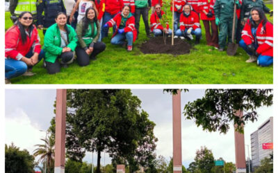Bogotá sigue en la consolidación de su apuesta por una mejor calidad del aire en la ciudad