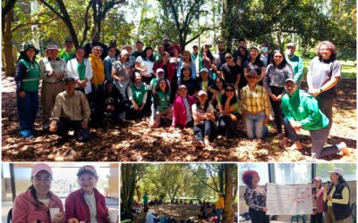 Historias del verde urbano: Tejiendo comunidad: un encuentro de cuidado con los guardianes de los bosques urbanos