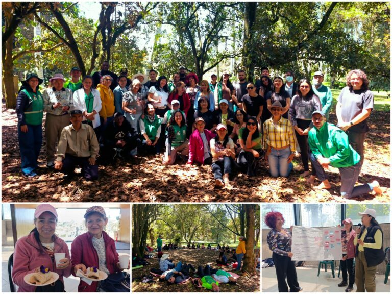 Historias del verde urbano: Tejiendo comunidad: un encuentro de cuidado con los guardianes de los bosques urbanos