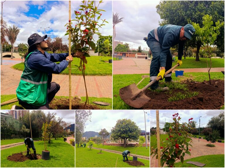 Historias del verde urbano: ¡El verde brilla con más intensidad en El Renacimiento!