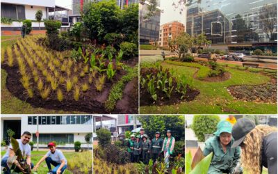 Historias del verde urbano: ¡Transformación jardinera en Chicó Reservado!