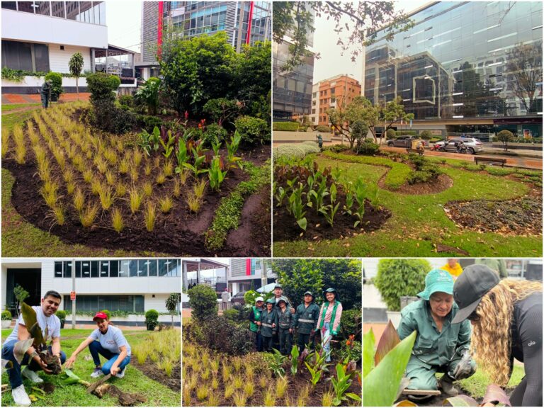 Historias del verde urbano: ¡Transformación jardinera en Chicó Reservado!