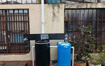 Cosecha de agua en Villa del Prado: Suba estrena sistema piloto de captación de aguas lluvias
