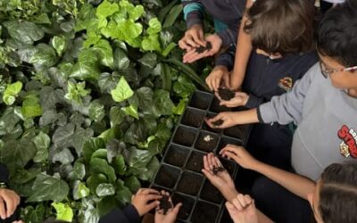 Tejiendo territorios : Guardianes del río Torca: Vigías del Colegio Toberín defienden la biodiversidad de Usaquén
