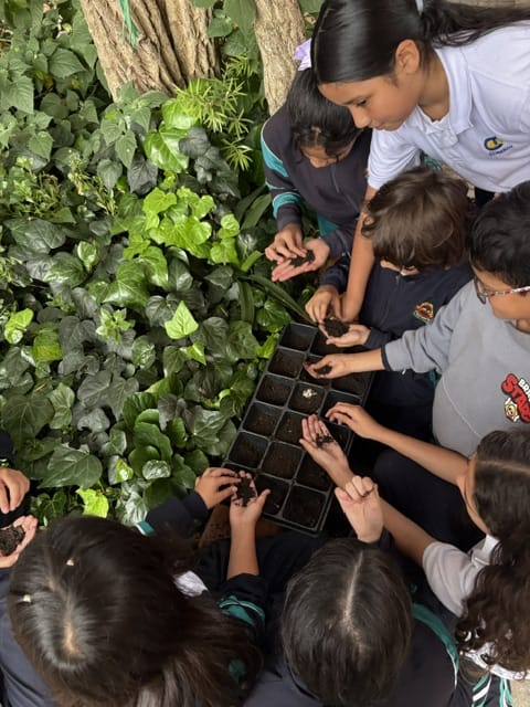 Tejiendo territorios : Guardianes del río Torca: Vigías del Colegio Toberín defienden la biodiversidad de Usaquén