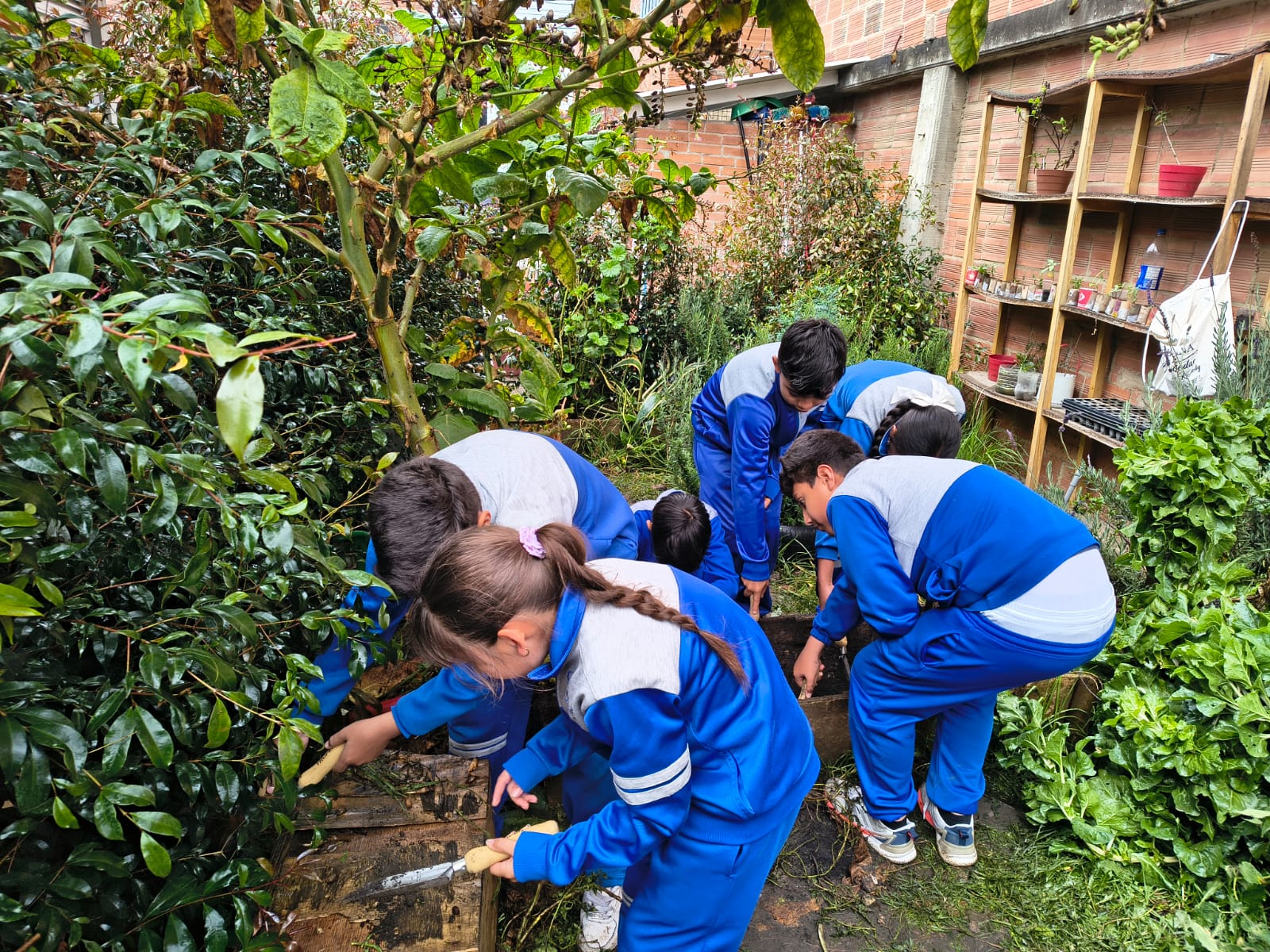 PROCESO 21 CARLOS ALBÁN HOLGUÍN - JARDÍN BIODIVERSO (19) Tejiendo territorios: Semillas de pensamiento crítico: El aula viva de Bosa frente al cambio climático
