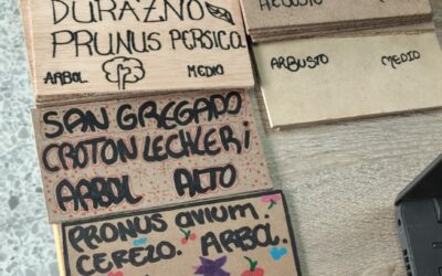 Tejiendo territorios: Vigías del Tunal: Estudiantes de Tunjuelito lideran inventario de biodiversidad urbana