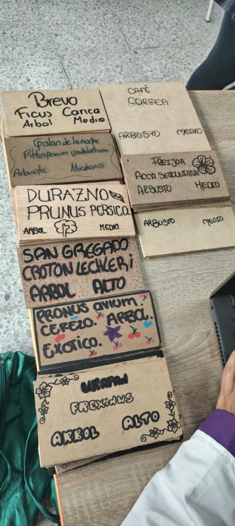 Tejiendo territorios: Vigías del Tunal: Estudiantes de Tunjuelito lideran inventario de biodiversidad urbana